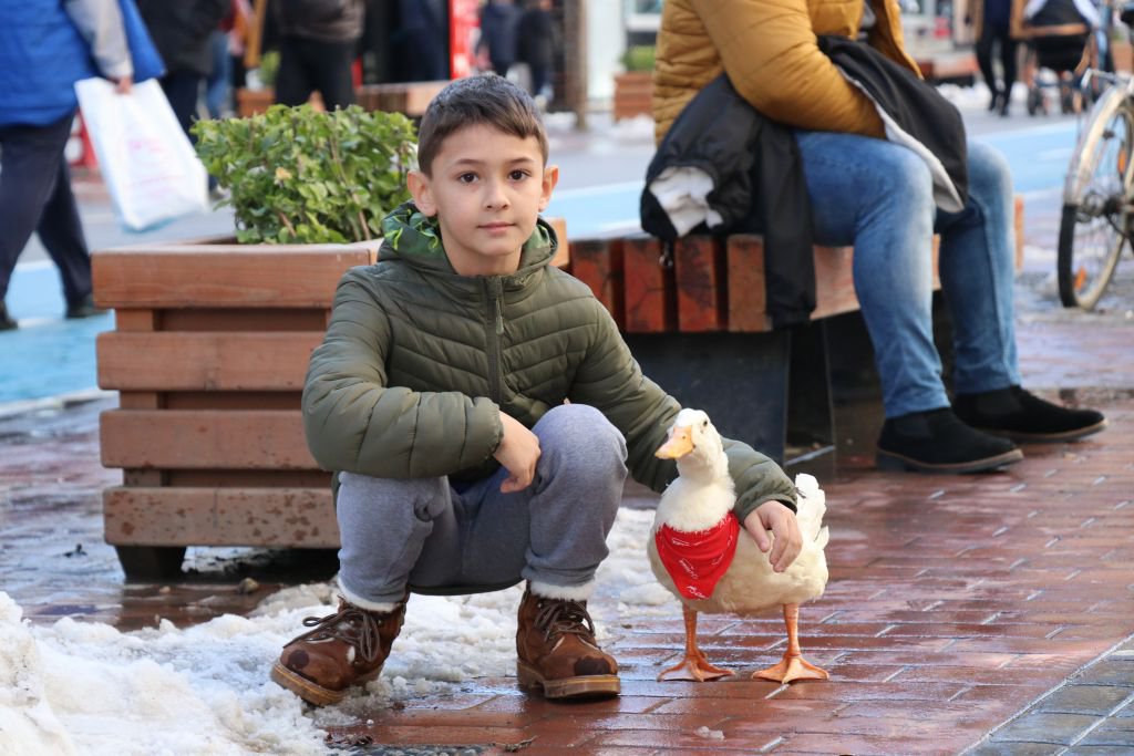 SEVGİNİN BÖYLESİ