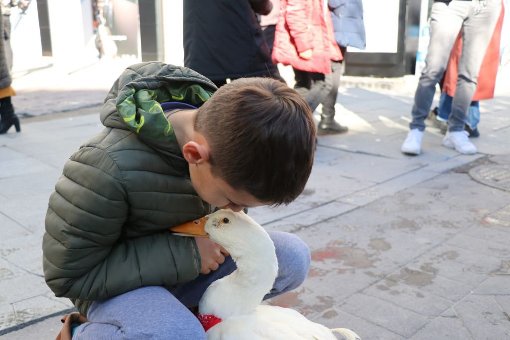 SEVGİNİN BÖYLESİ