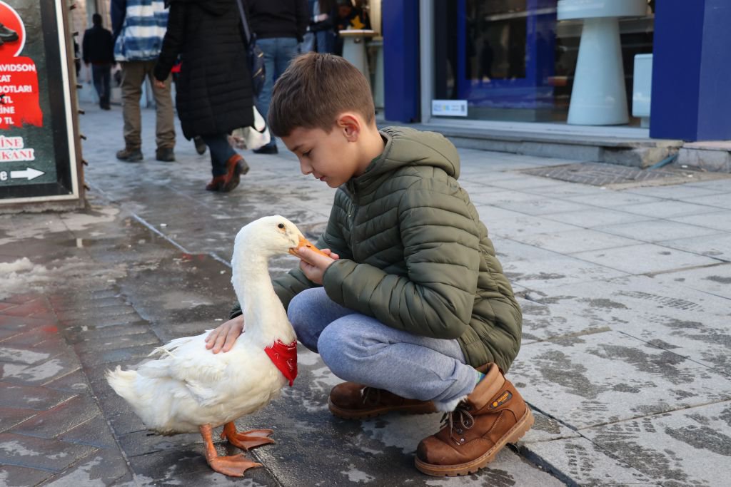 SEVGİNİN BÖYLESİ