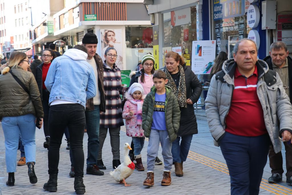 SEVGİNİN BÖYLESİ