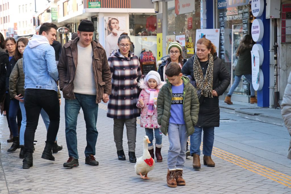 SEVGİNİN BÖYLESİ