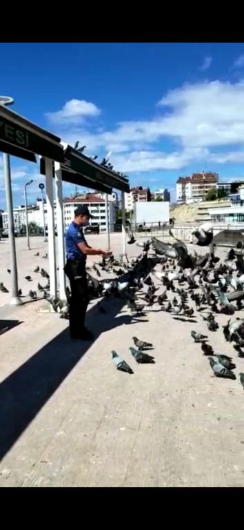 SOKAK HAYVANLARININ İMDADINA KOŞTULAR