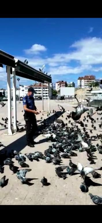 SOKAK HAYVANLARININ İMDADINA KOŞTULAR