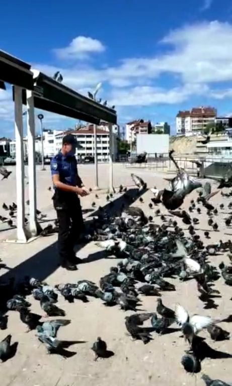 SOKAK HAYVANLARININ İMDADINA KOŞTULAR