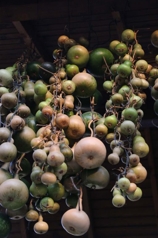 SU KABAĞINDAN SANAT ÇIKARIYOR