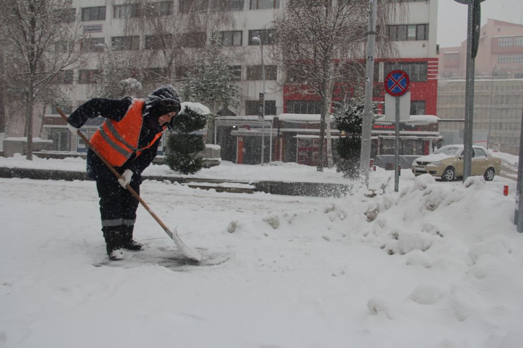 TABİATIN KALBİ KARA DOYDU
