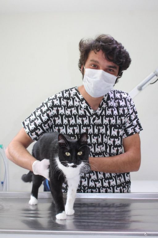 ''VATANDAŞLAR HAYVANLARINI BIRAKMASINLAR''