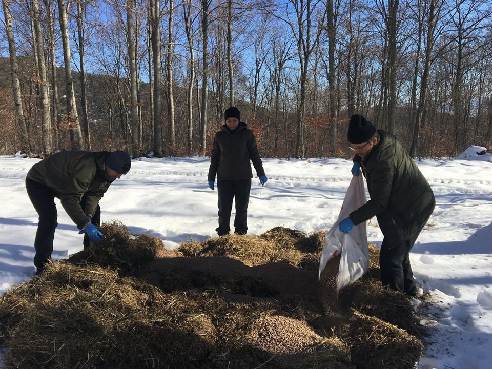 YABAN HAYVANLARI AÇ KALMASIN