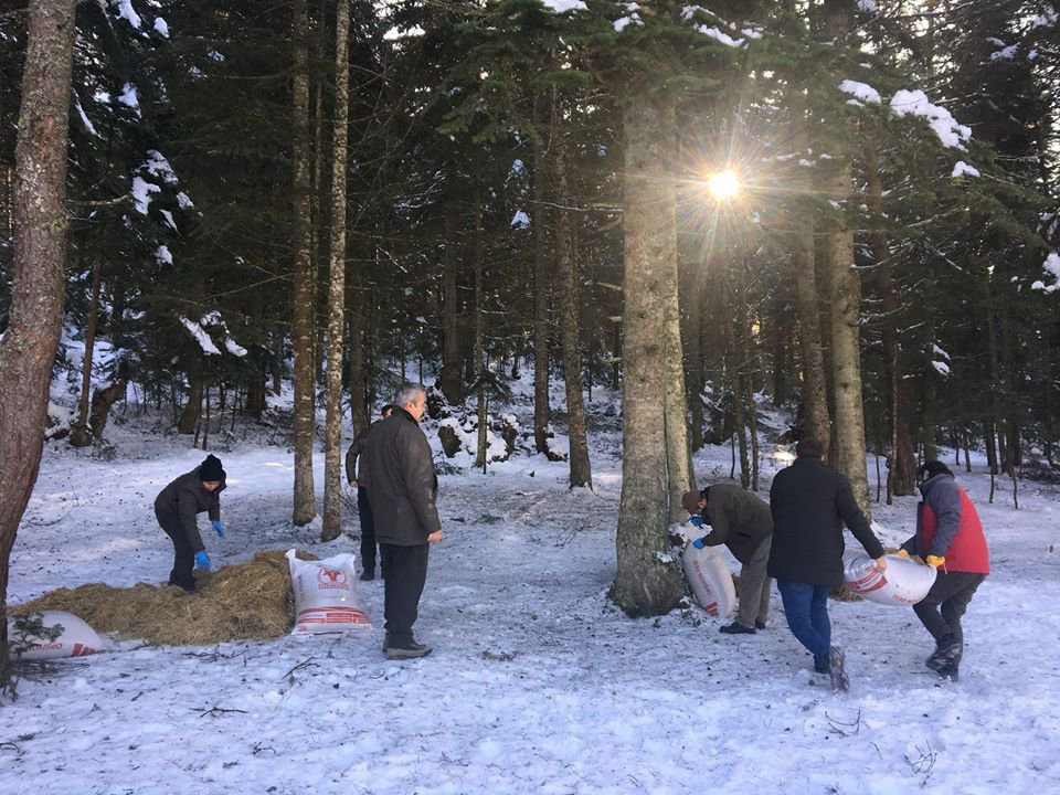YABAN HAYVANLARI AÇ KALMASIN
