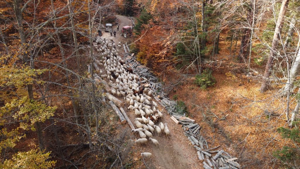 YAYLACILAR 'EVE DÖNÜŞ' YOLUNDA