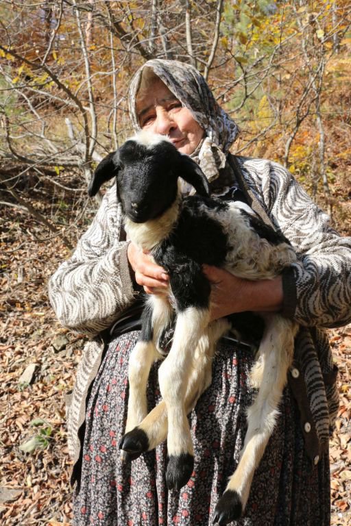 YAYLACILAR 'EVE DÖNÜŞ' YOLUNDA