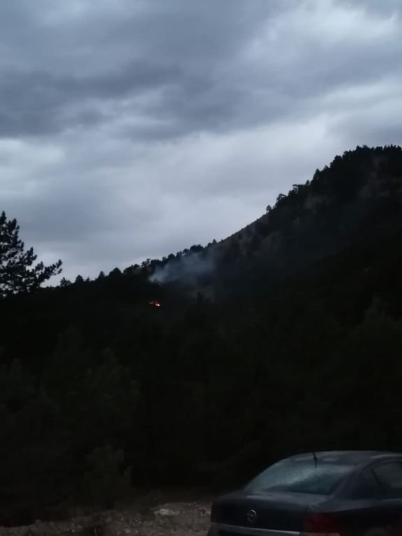 YILDIRIM DÜŞEN ORMANDA YANGIN ÇIKTI