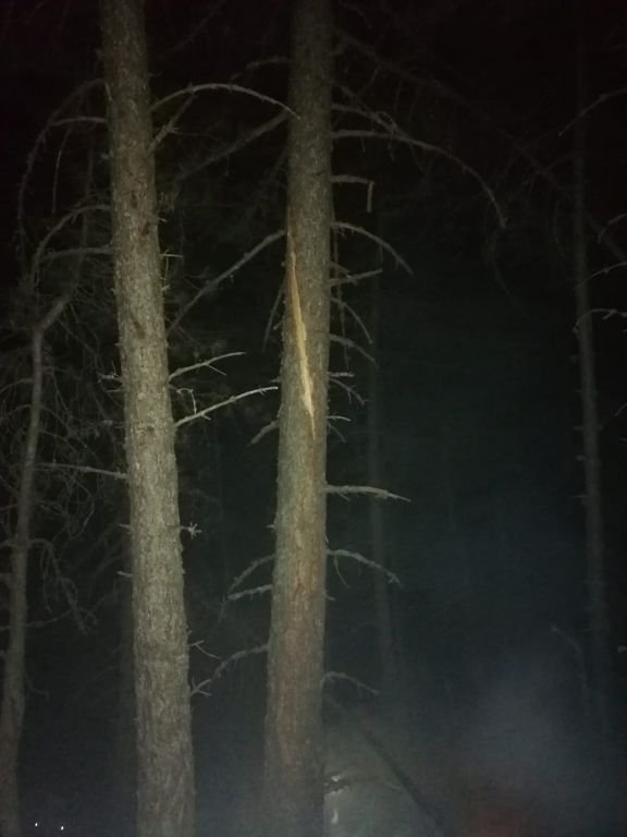 YILDIRIM DÜŞEN ORMANDA YANGIN ÇIKTI