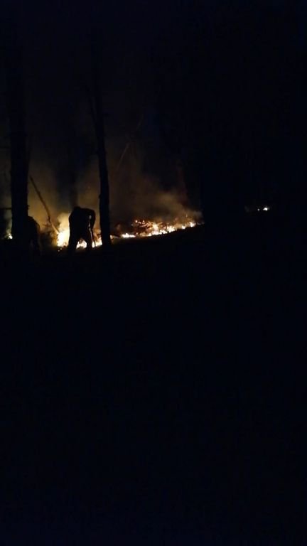 YILDIRIM DÜŞEN ORMANDA YANGIN ÇIKTI