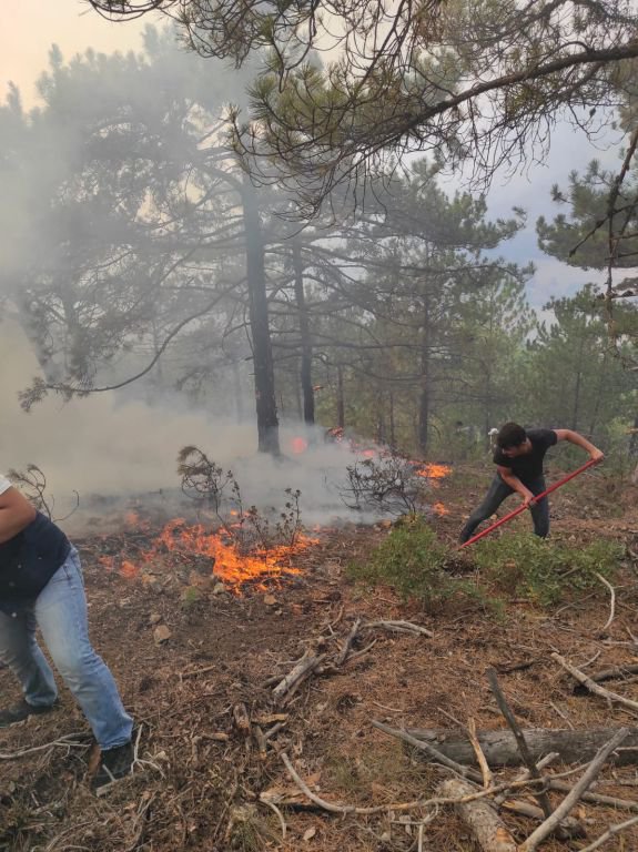 YILDIRIM DÜŞTÜ, ORMAN YANGINI ÇIKTI