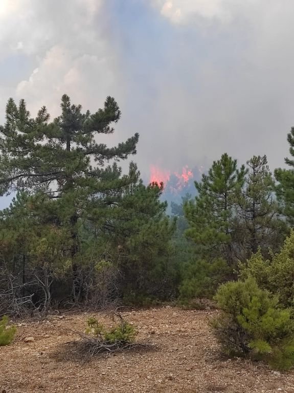 YILDIRIM DÜŞTÜ, ORMAN YANGINI ÇIKTI