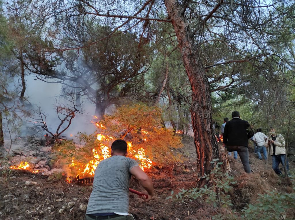 YILDIRIM DÜŞTÜ, ORMAN YANGINI ÇIKTI