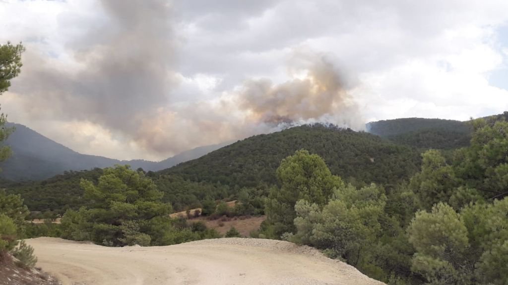 YILDIRIM DÜŞTÜ, ORMAN YANGINI ÇIKTI
