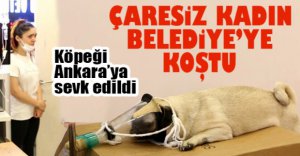ÇARESİZ KADIN BELEDİYE'DEN YARDIM İSTEDİ
