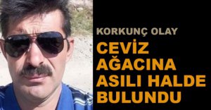 CEVİZ AĞACINA ASILI HALDE BULUNDU
