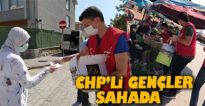 CHP'Lİ GENÇLER SAHADA