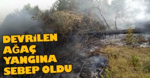 DEVRİLEN AĞAÇ YANGINA SEBEP OLDU