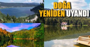 DOĞA KENDİNİ YENİLEDİ