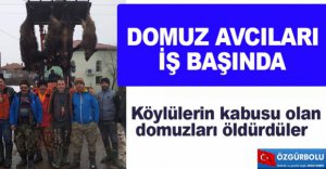 DOMUZ AVCILARI İŞ BAŞINDA