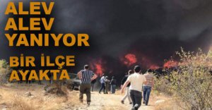 BÜYÜK ORMAN YANGINI, BİR İLÇE AYAKTA
