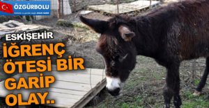 ESKİŞEHİR'DE İĞRENÇ OLAY