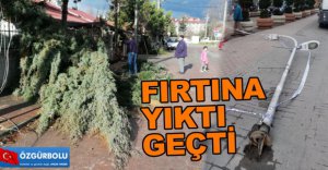 FIRTINA AĞAÇ VE DİREKLERİ DEVİRDİ