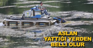 GÖLCÜK GÖLÜ TEMİZLENİYOR