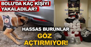 HASSAS BURUNLAR CANLA BAŞLA ÇALIŞIYOR