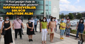 HAYVAN SEVERLER SOLUĞU ADLİYEDE ALDI