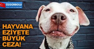 HAYVANA EZİYETE BÜYÜK CEZA!