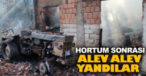 BOLU'DA HORTUM SONRASI YANGIN PANİĞİ