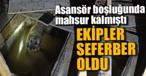 İTFAİYE SEFERBER OLDU
