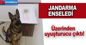 JANDARMA ENSELEDİ