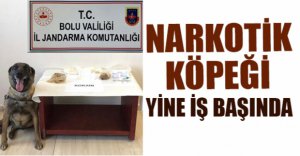 UYUŞTURUCU TACİRLERİ  ENSELEDİ