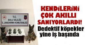JANDARMA UYUŞTURUCU TACİRLERİNİ ENSELEDİ..
