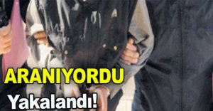 JANDARMA  ENSELEDİ