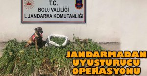 JANDARMADAN UYUŞTURUCU OPERASYONU