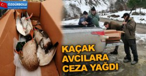 KAÇAK AVCILARA CEZA YAĞDI