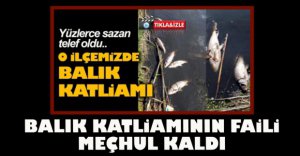 KATLEDİLEN BALIKLARIN FAİLİ MEÇHUL KALDI