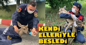 YAVRU GEYİĞİ BİBERONLA BESLEDİ