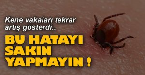 KENE VAKALARI TEKRAR ARTIŞ GÖSTERDİ