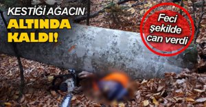 KESTİĞİ AĞACIN ALTINDA CAN VERDİ