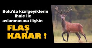 KIZIL GEYİKLERİN AVLANMASINA İLİŞKİN FLAŞ KARAR