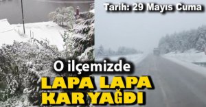 LAPA LAPA KAR YAĞDI