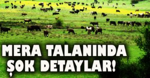 MERALAR BÖYLE TALAN  EDİLDİ